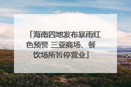 海南四地发布暴雨红色预警 三亚商场、餐饮场所暂停营业