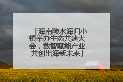 海南陵水海归小镇举办生态共建大会，数智赋能产业共创出海新未来