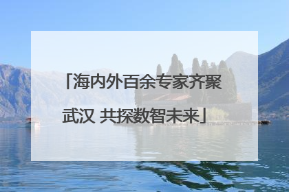 海内外百余专家齐聚武汉 共探数智未来