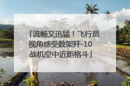 流畅又迅猛！飞行员视角感受数架歼-10战机空中近距格斗