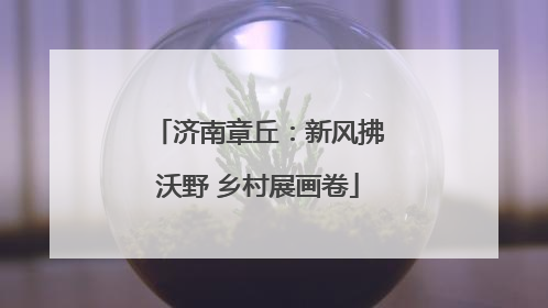 济南章丘：新风拂沃野 乡村展画卷