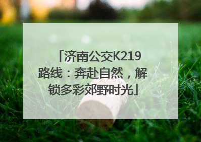 济南公交K219路线：奔赴自然，解锁多彩郊野时光