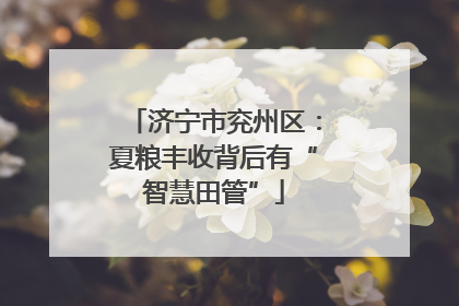 济宁市兖州区：夏粮丰收背后有“智慧田管”