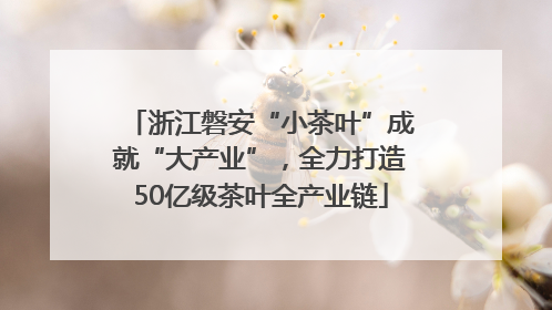 浙江磐安“小茶叶”成就“大产业”，全力打造50亿级茶叶全产业链