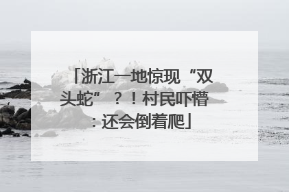 浙江一地惊现“双头蛇”？！村民吓懵：还会倒着爬