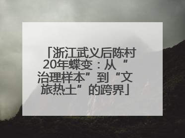 浙江武义后陈村20年蝶变：从“治理样本”到“文旅热土”的跨界