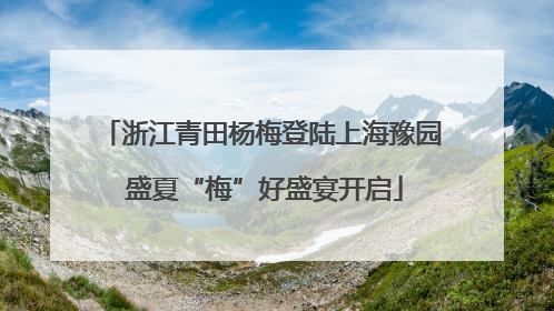 浙江青田杨梅登陆上海豫园 盛夏“梅”好盛宴开启