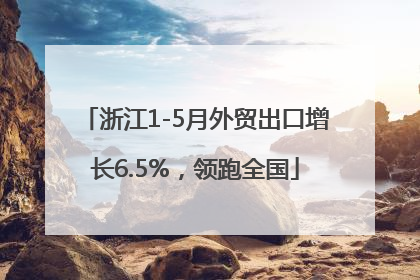 浙江1-5月外贸出口增长6.5%，领跑全国