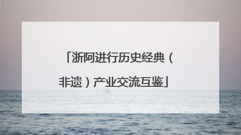 浙阿进行历史经典（非遗）产业交流互鉴