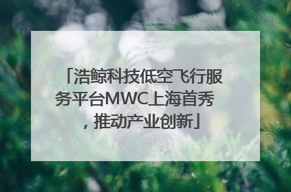 浩鲸科技低空飞行服务平台MWC上海首秀，推动产业创新