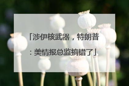 涉伊核武器，特朗普：美情报总监搞错了