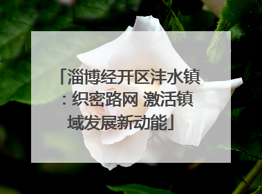 淄博经开区沣水镇：织密路网 激活镇域发展新动能