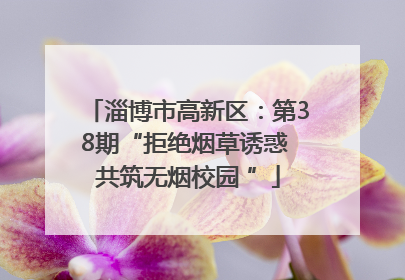 淄博市高新区：第38期“拒绝烟草诱惑 共筑无烟校园 ”