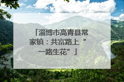 淄博市高青县常家镇：共富路上“一路生花”