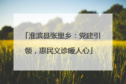 淮滨县张里乡：党建引领，惠民义诊暖人心