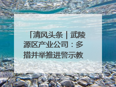 清风头条｜武陵源区产业公司：多措并举推进警示教育走深走实