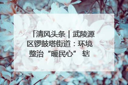 清风头条｜武陵源区锣鼓塔街道：环境整治“暖民心” 辖区面貌“靓”起来