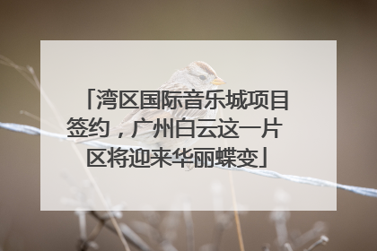 湾区国际音乐城项目签约，广州白云这一片区将迎来华丽蝶变