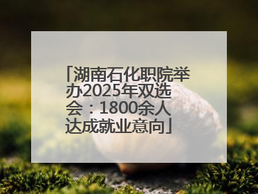 湖南石化职院举办2025年双选会：1800余人达成就业意向