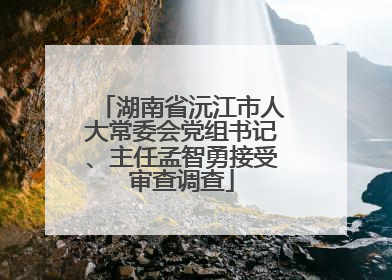 湖南省沅江市人大常委会党组书记、主任孟智勇接受审查调查