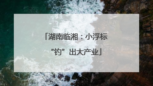湖南临湘：小浮标“钓”出大产业
