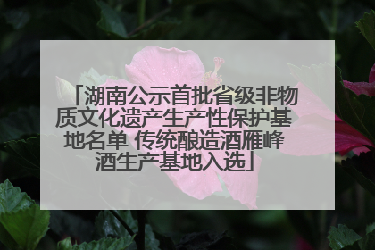 湖南公示首批省级非物质文化遗产生产性保护基地名单 传统酿造酒雁峰酒生产基地入选