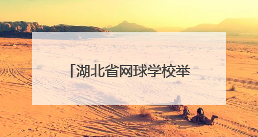 湖北省网球学校举办2025年校园开放日系列活动