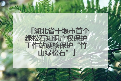 湖北省十堰市首个绿松石知识产权保护工作站硬核保护“竹山绿松石”