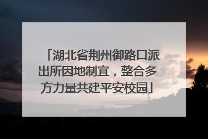 湖北省荆州御路口派出所因地制宜，整合多方力量共建平安校园