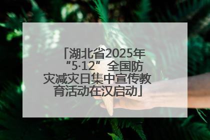 湖北省2025年“5·12”全国防灾减灾日集中宣传教育活动在汉启动