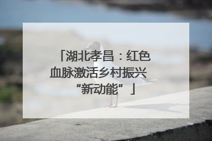 湖北孝昌：红色血脉激活乡村振兴“新动能”