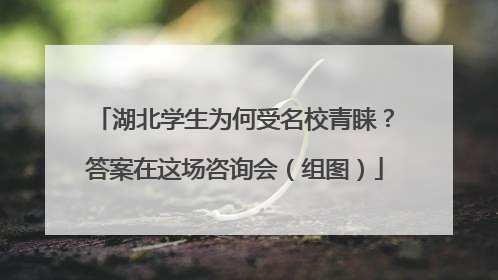 湖北学生为何受名校青睐？答案在这场咨询会（组图）