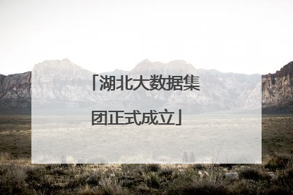 湖北大数据集团正式成立
