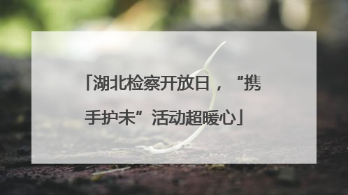 湖北检察开放日，“携手护未”活动超暖心