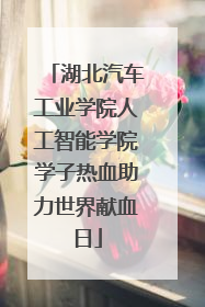 湖北汽车工业学院人工智能学院学子热血助力世界献血日