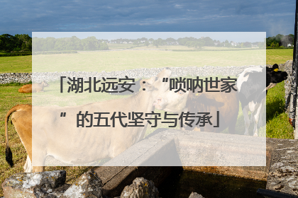 湖北远安：“唢呐世家”的五代坚守与传承