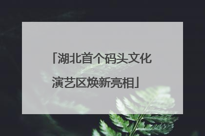 湖北首个码头文化演艺区焕新亮相