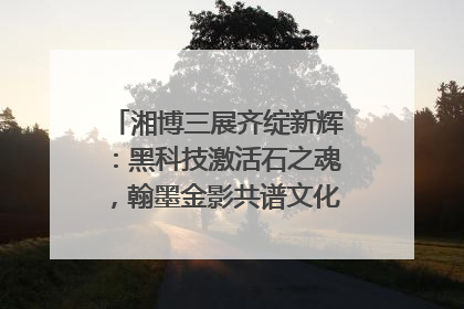 湘博三展齐绽新辉：黑科技激活石之魂，翰墨金影共谱文化遗产日华章