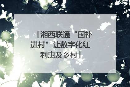 湘西联通“国补进村”让数字化红利惠及乡村