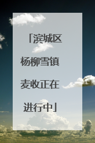 滨城区杨柳雪镇麦收正在进行中