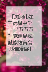 漯河市第二高级中学：“五五五”党建品牌赋能教育高质量发展