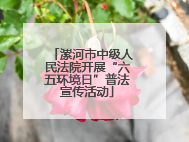 漯河市中级人民法院开展“六五环境日”普法宣传活动