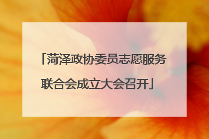 菏泽政协委员志愿服务联合会成立大会召开