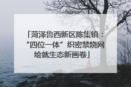 菏泽鲁西新区陈集镇：“四位一体”织密禁烧网 绘就生态新画卷