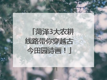 菏泽3大农耕线路带你穿越古今田园诗画！