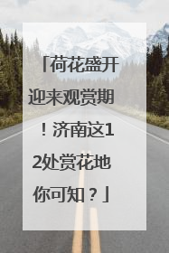 荷花盛开迎来观赏期！济南这12处赏花地你可知？