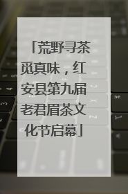 荒野寻茶觅真味，红安县第九届老君眉茶文化节启幕