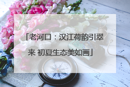 老河口：汉江荷韵引翠来 初夏生态美如画