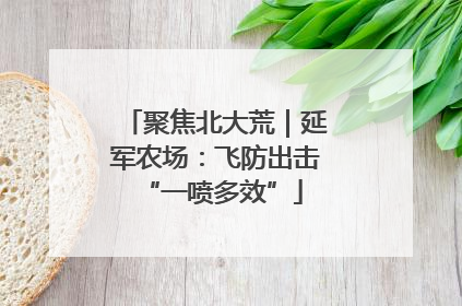 聚焦北大荒｜延军农场：飞防出击 “一喷多效”