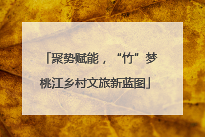 聚势赋能，“竹”梦桃江乡村文旅新蓝图